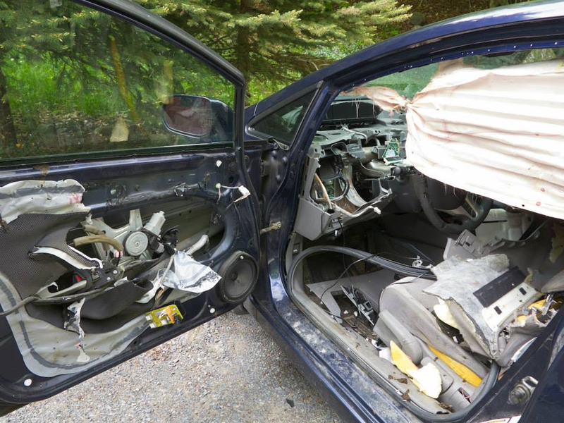Illustration for article titled Note To Self: Don't Let Bear In Car
